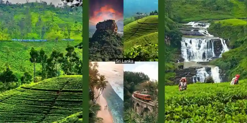 Sri Lanka Family Holiday